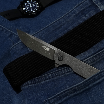 Нож складной Ganzo Firebird FH13SS в Украине