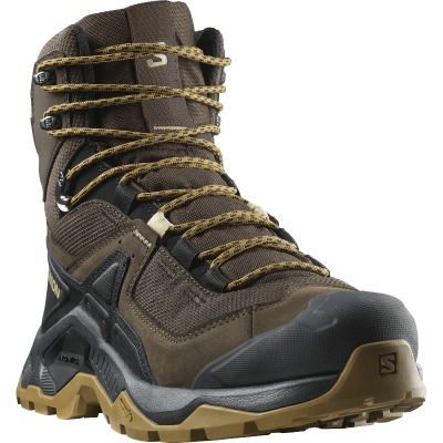Ботинки туристические SALOMON Quest Element GTX. Коричневый в Украине