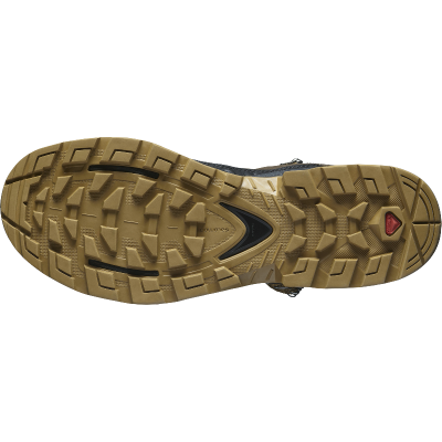 Ботинки туристические SALOMON Quest Element GTX. Коричневый в Украине