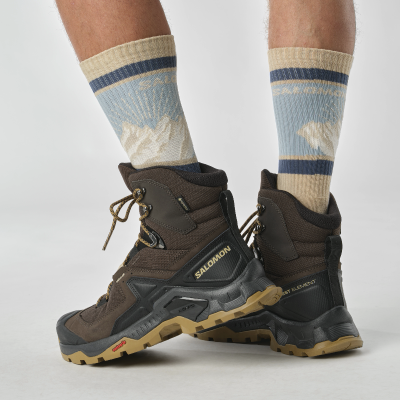 Ботинки туристические SALOMON Quest Element GTX. Коричневый в Украине