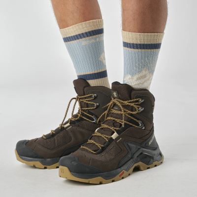 Ботинки туристические SALOMON Quest Element GTX. Коричневый в Украине