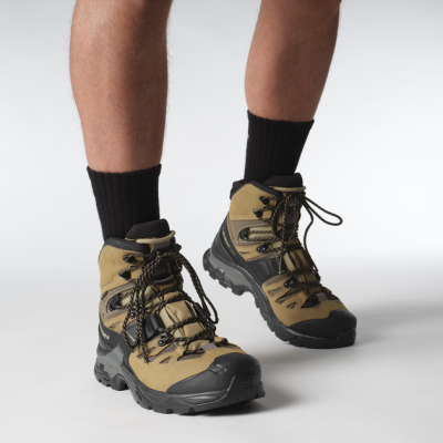 Ботинки тактические SALOMON Quest 4 GTX. Черный-Койот в Украине